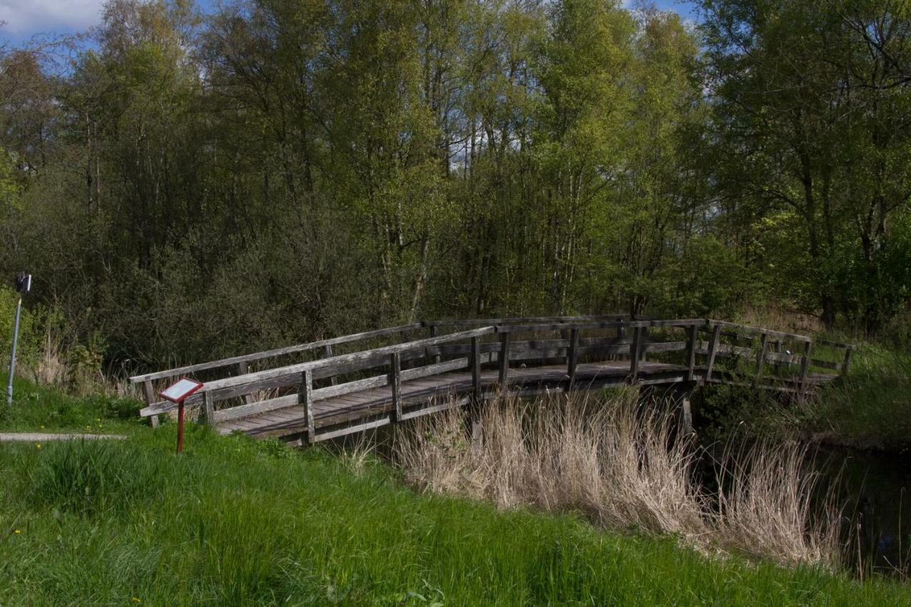 Manege Sanninghoeve B&B Oudega  Esterno foto